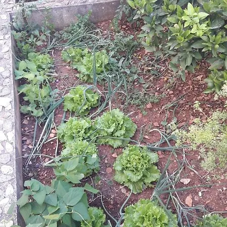 Kike Apartmán *