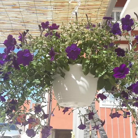 Apartament Kike Trogir